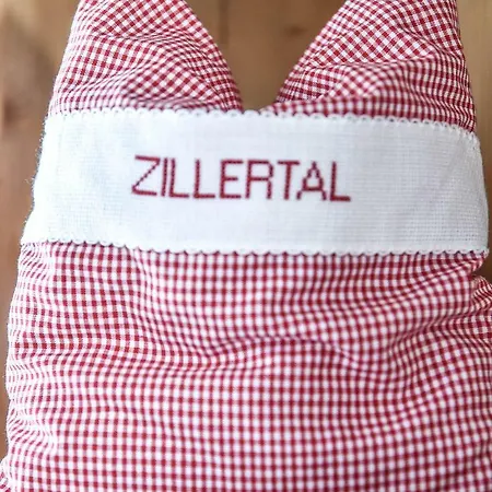 Daire Schneiderhaeusl Zillertal Stummerberg